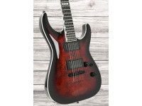 ESP E-II Horizon NT-II EMG STBCSB ESP E-II Horizon NT-II EMG STBCSB